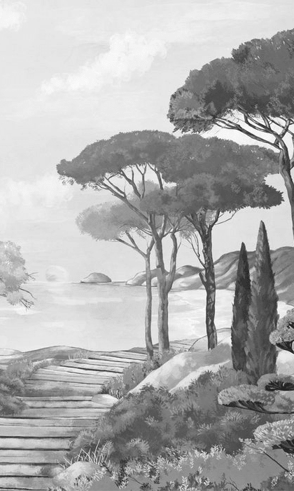 Papier peint balade dans les calanques noir et blanc - Muralconcept