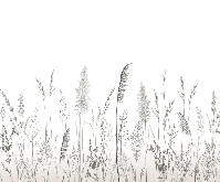 Papier peint poétique pampa - Muralconcept