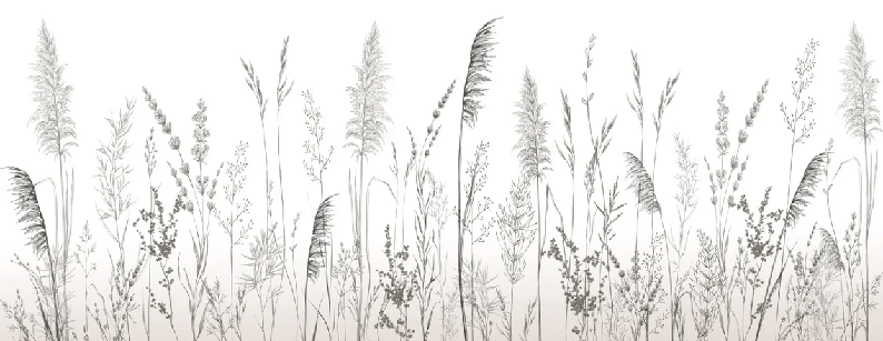 Papier peint poétique pampa - Muralconcept