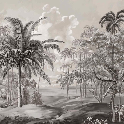 Papier peint paysage Célèbes noir et blanc