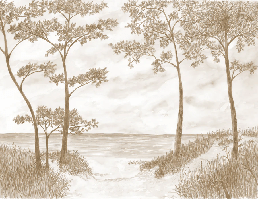 Papel pintado Pinos marítimos y dunas - Sepia