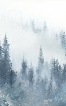 Papier peint sapin brume bleu aquarelle