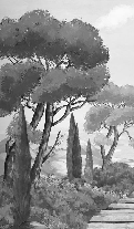 Papier peint balade dans les calanques noir et blanc