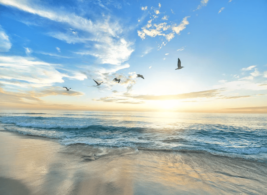 Papel pintado Playa paradisíaca