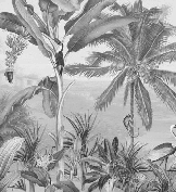 Papier peint mirage tropical noir et blanc - Muralconcept