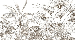 Papier peint tropical gravure monochrome