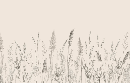 Papier peint panoramique prairie sauvage - Muralconcept