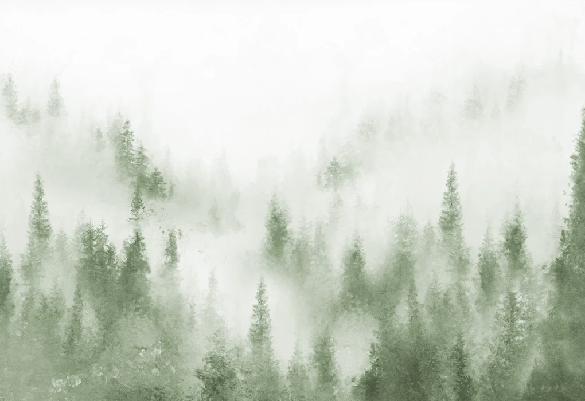 Papier peint bistrot sapin brume verte aquarelle
