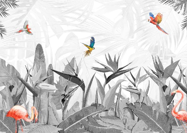 Papier peint noir et blanc oiseau du paradis, XXL, tendance