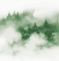 Papier peint brume des Cimes vert - Muralconcept
