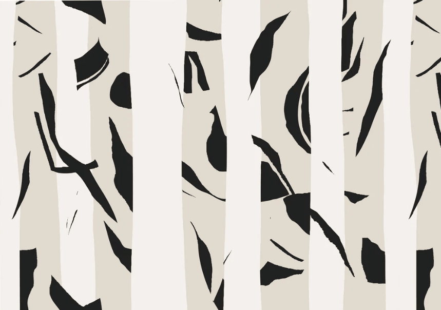 Papier peint rayure bichrome - Muralconcept