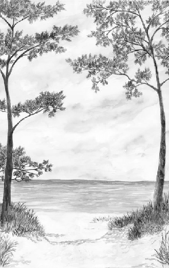 Papier peint Pins maritimes et dunes - Noir et blanc - Muralconcept