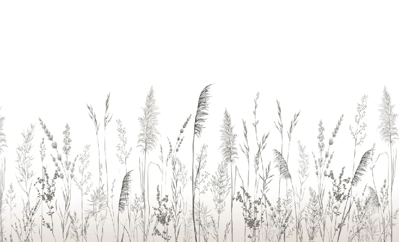 Papier peint poétique pampa - Muralconcept