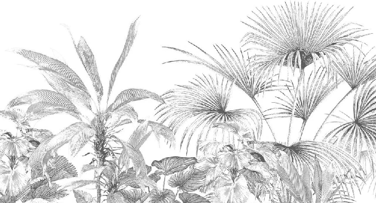 Papier peint tropical gravure monochrome