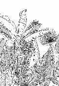 Papier peint panoramique noir et blanc botanic leaf