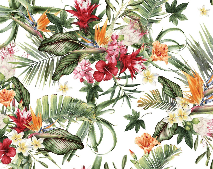 Papier peint tropical & Fleurs colorées