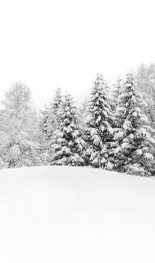 Papier peint panoramique évasion hivernale - Muralconcept