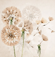 Papel pintado Flor de diente de león