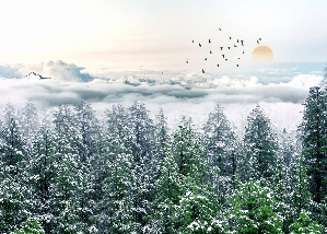 Papier peint panoramique intissé forêt de sapin neige
