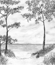 Papel pintado Pinos marítimos y dunas - Blanco y negro