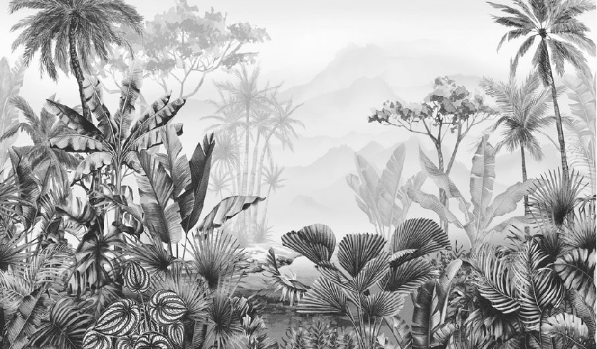 Papier peint tendance tropical noir et blanc