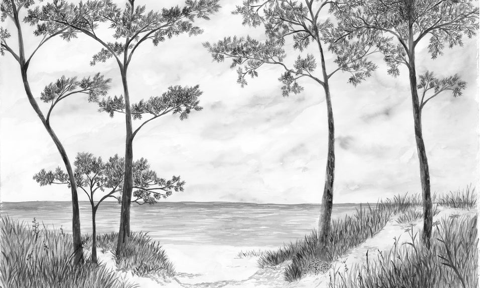 Papier peint Pins maritimes et dunes - Noir et blanc - Muralconcept