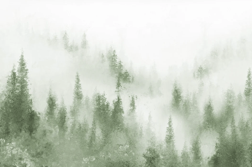 Papier peint bistrot sapin brume verte aquarelle, XXL, tendance