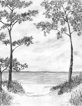 Papier peint Pins maritimes et dunes - Noir et blanc