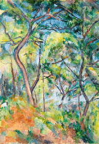 Papel pintado bosque de pinos - Paul Cézanne