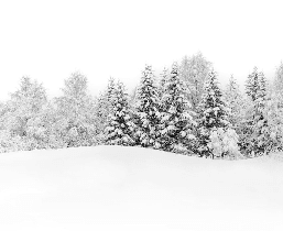 Papier peint panoramique évasion hivernale - Muralconcept