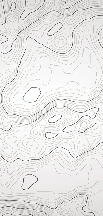 Papier peint ligne topographique - Noir et blanc - Muralconcept