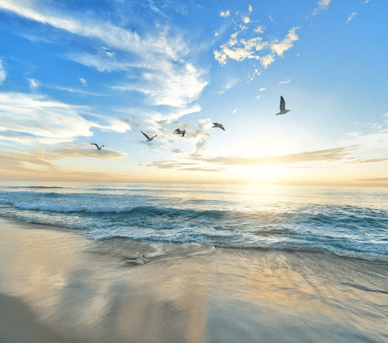 Papel pintado Paradise Beach