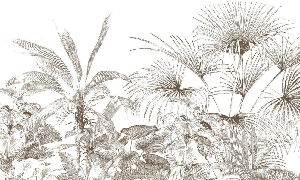 Papier peint tropical gravure monochrome