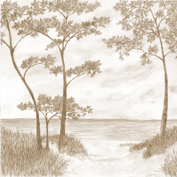 Papier peint Pins maritimes et dunes - Sépia - Muralconcept