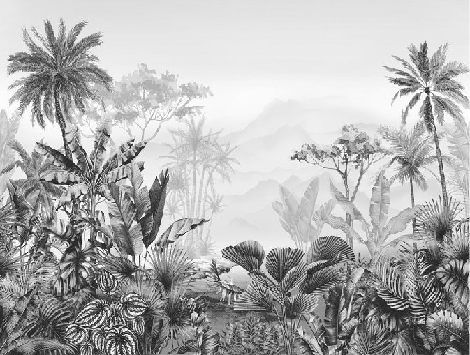 Papier peint tendance tropical noir et blanc