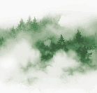 Papier peint brume des Cimes vert