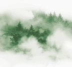 Papier peint brume des Cimes vert