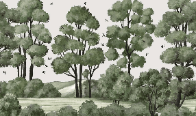 Papel pintado paisaje río bosque verde