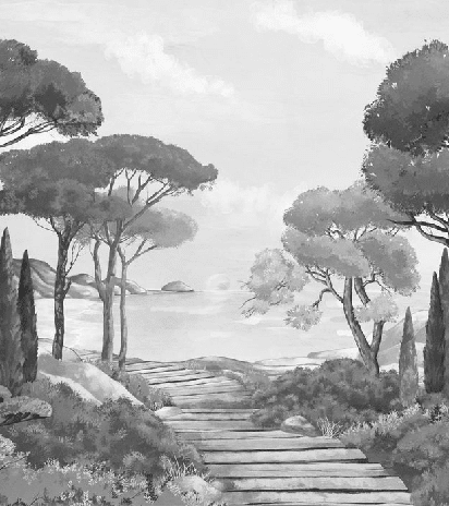 Papier peint balade dans les calanques noir et blanc - Muralconcept