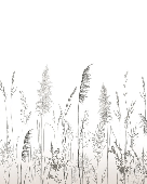 Papel pintado poético pampa