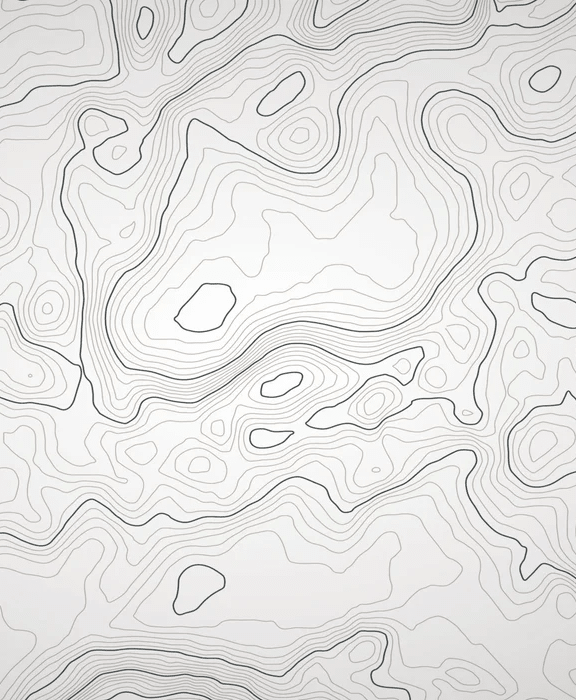 Papier peint ligne topographique - Noir et blanc - Muralconcept