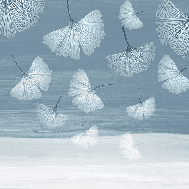 Papier peint wc japandi blue gingko - Muralconcept