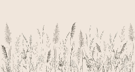 Papier peint panoramique prairie sauvage