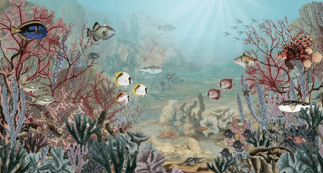 Papier peint vie sous la mer