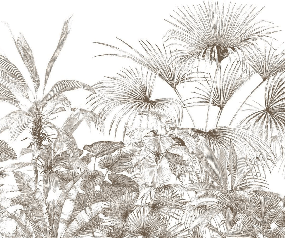 Papier peint tropical gravure monochrome