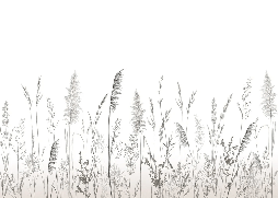 Papier peint poétique pampa - Muralconcept