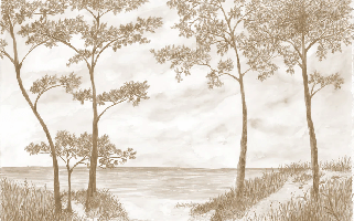 Papier peint Pins maritimes et dunes - Sépia - Muralconcept