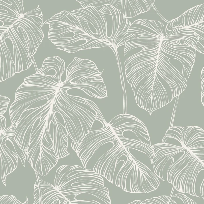Papier peint feuille monstera sauge, XXL, tendance