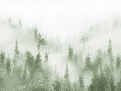 Papier peint bistrot sapin brume verte aquarelle - Muralconcept