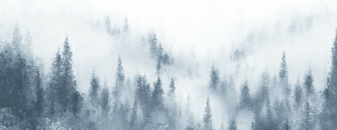 Papier peint sapin brume bleu aquarelle - Muralconcept
